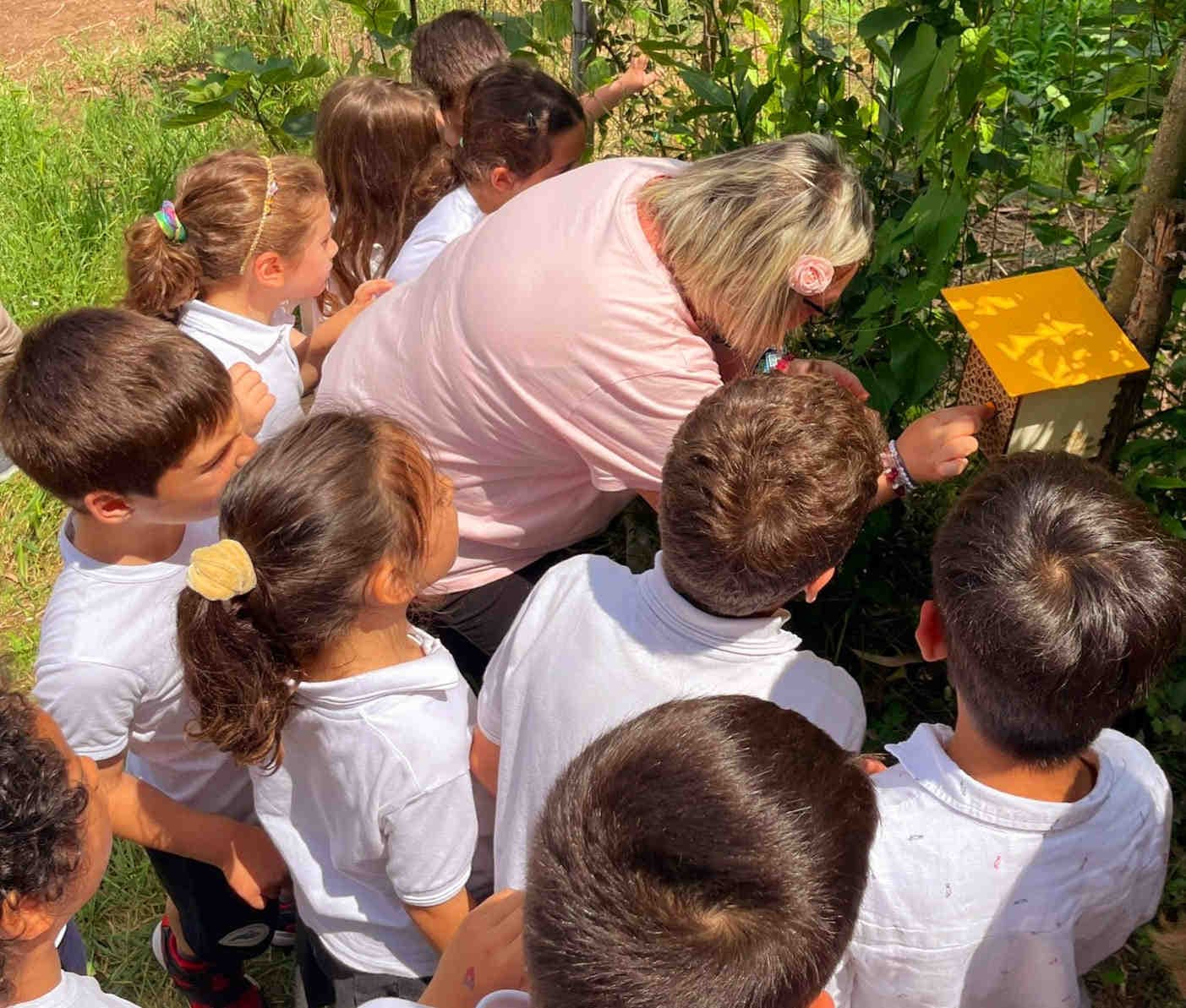3Bee: A Scuola di Biodiversità. Il piano didattico gratuito