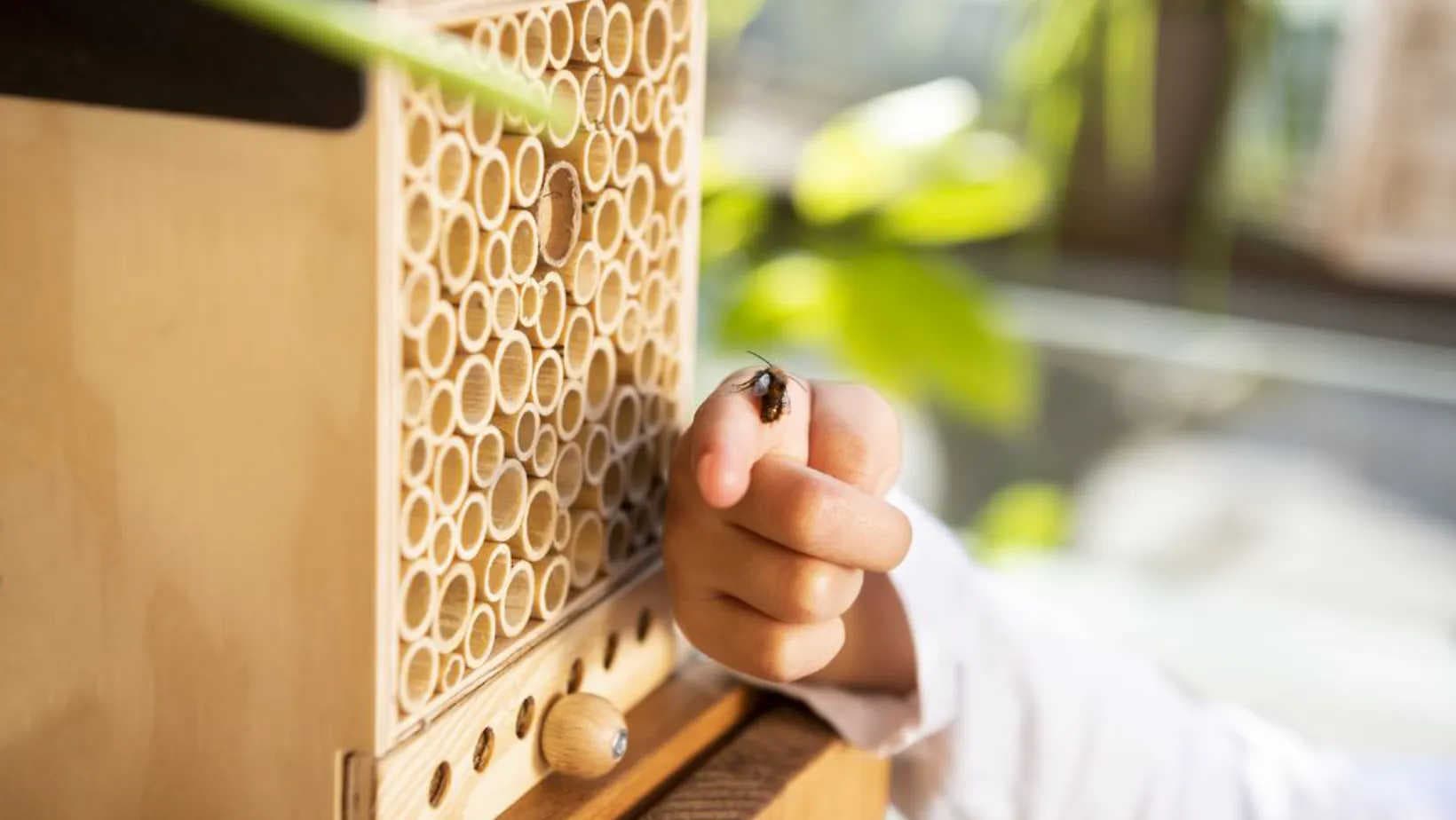 Beehouse und Bienenhäuschen