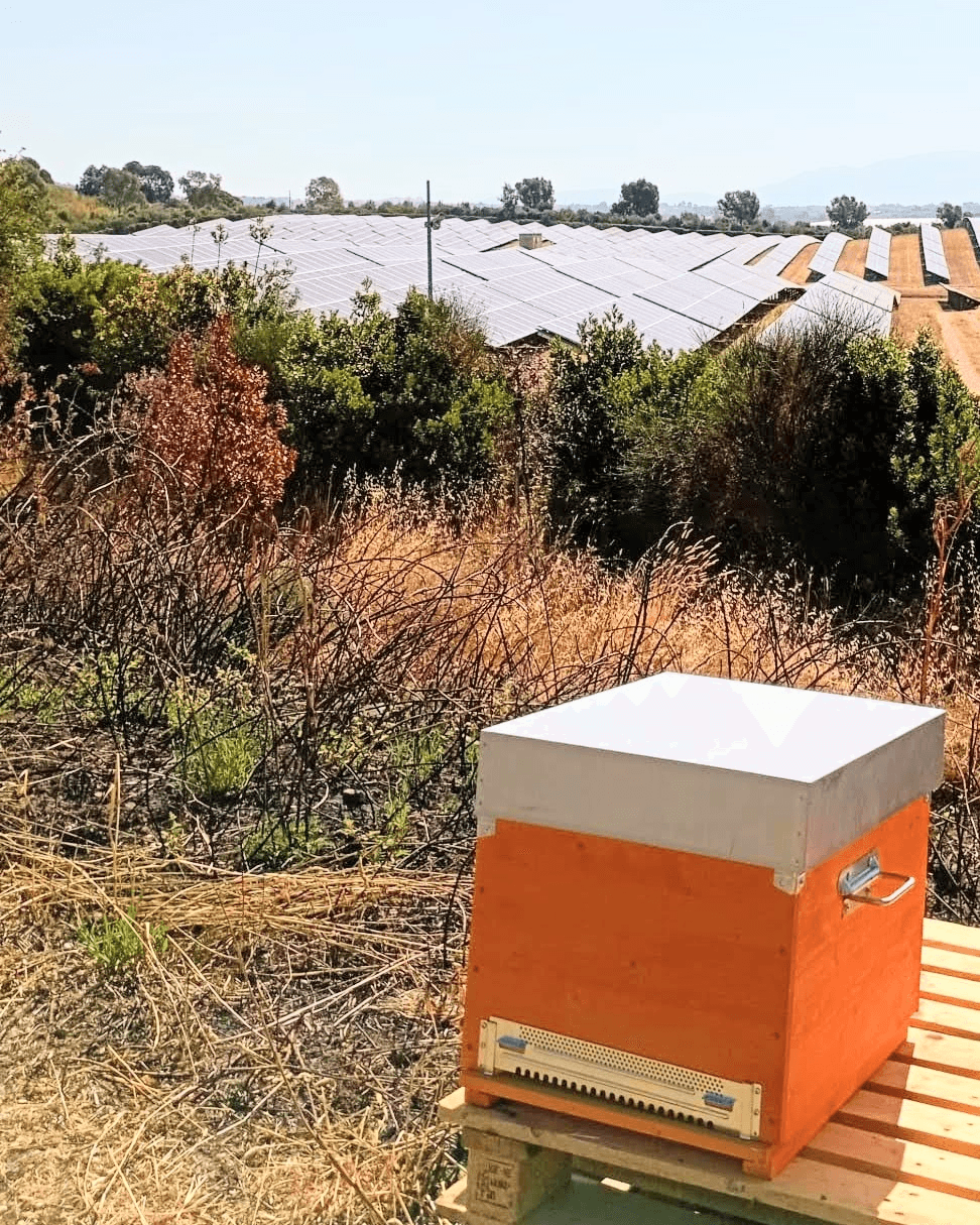 Genagricola 1851 e BeEnergy: partnership per l'agrivoltaico