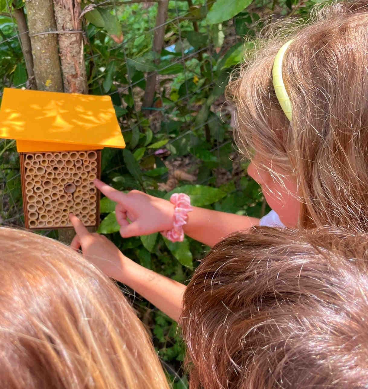 3Bee a scuola di biodiversità _ Polly