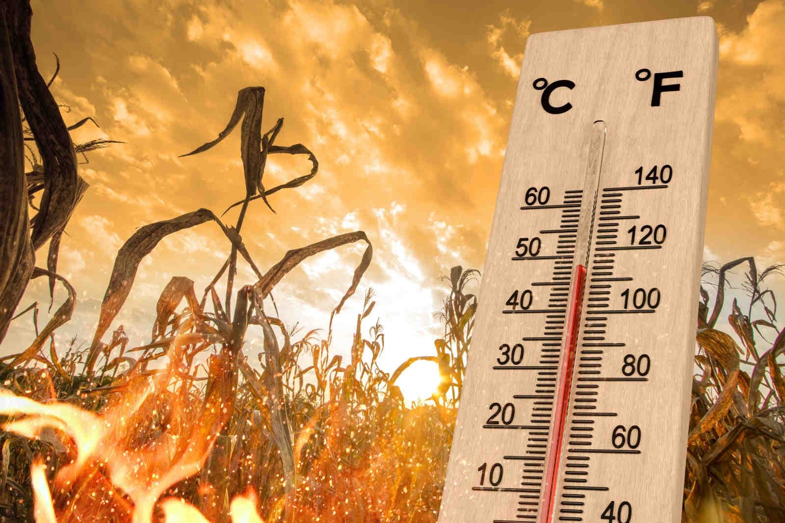 Gli esperti annunciano un estate calda