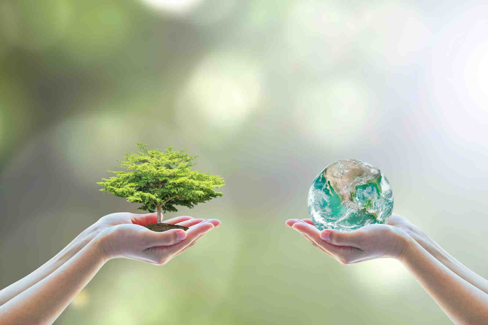 Cos'è il bilancio di sostenibilità: un approccio ESG