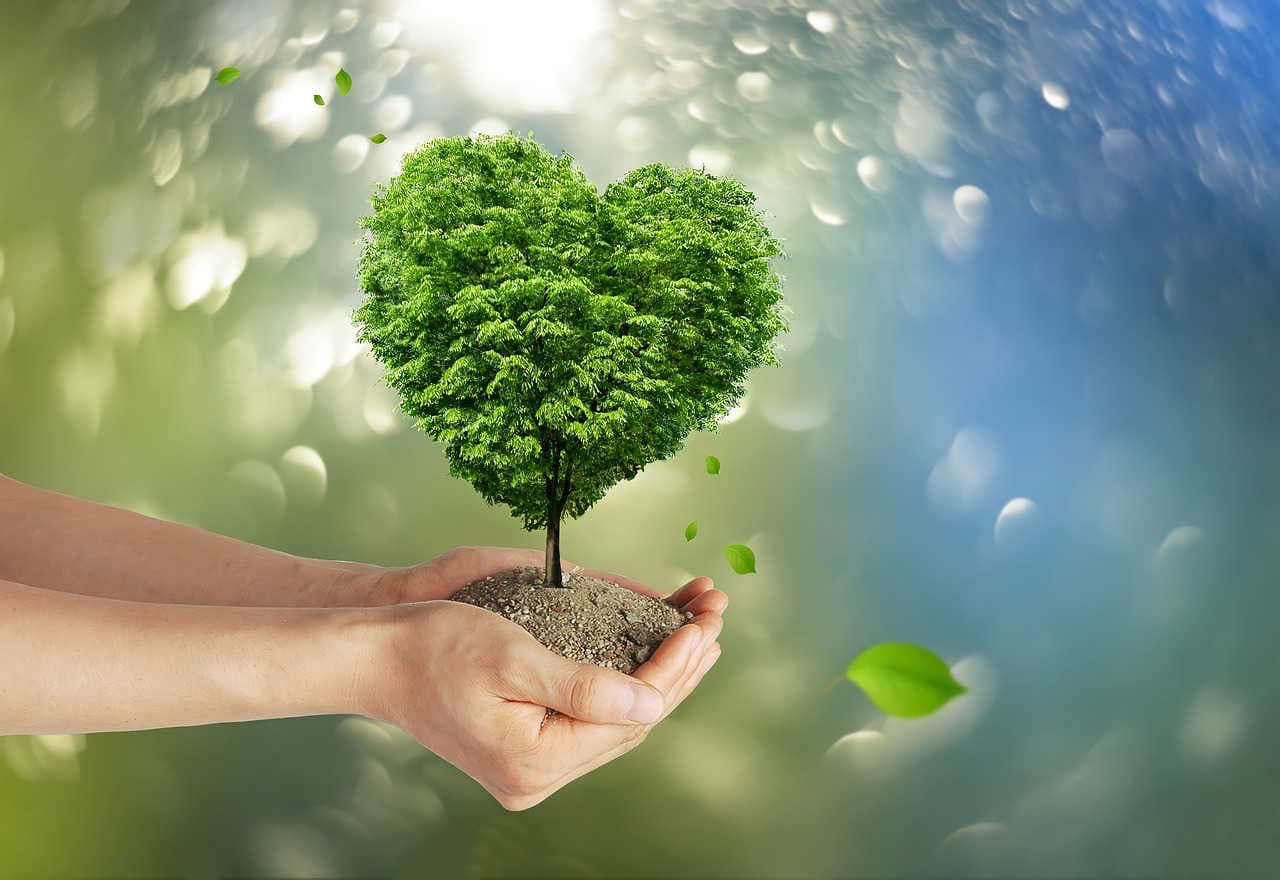 Modelos ESG y relaciones con las partes interesadas