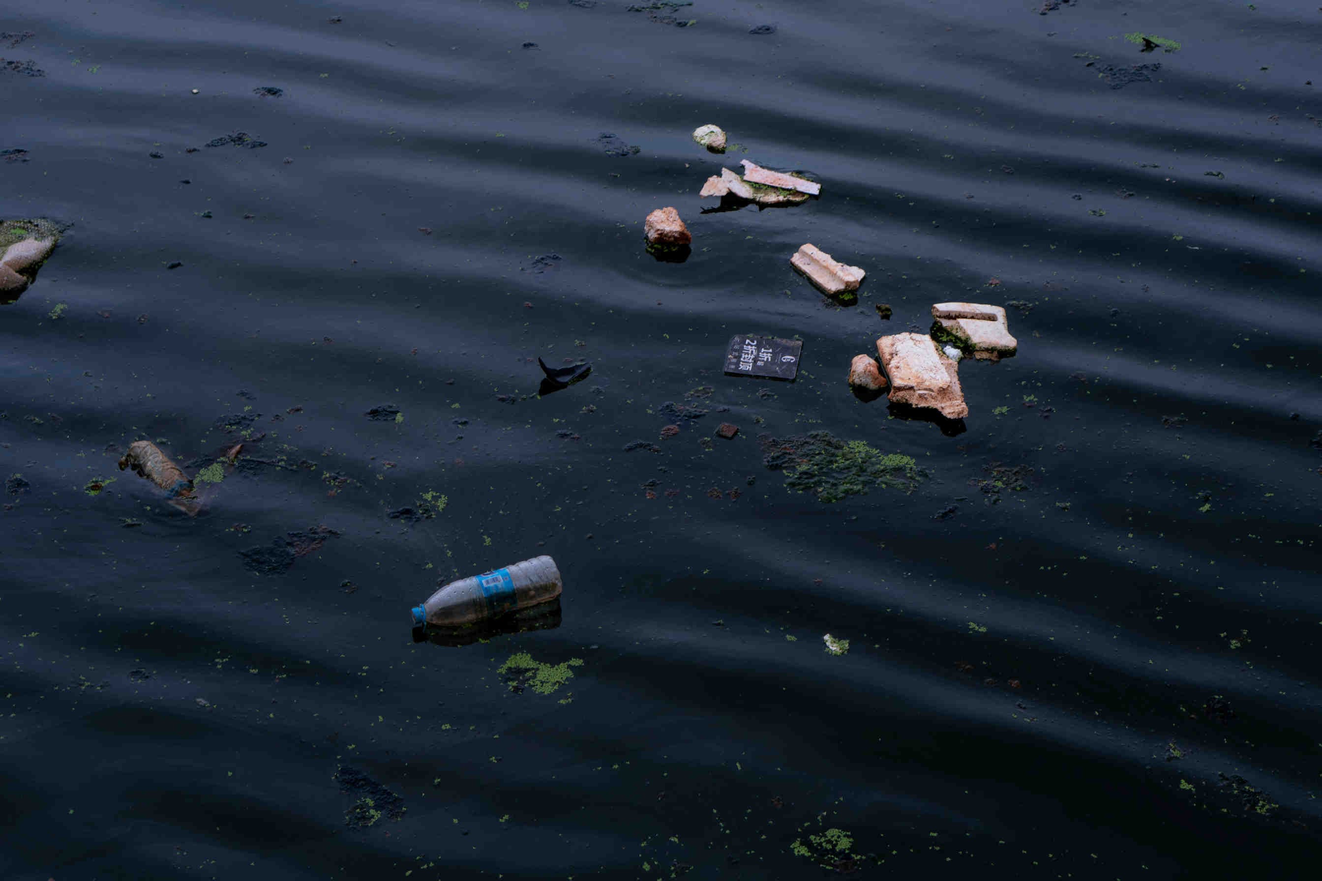 Water pollution