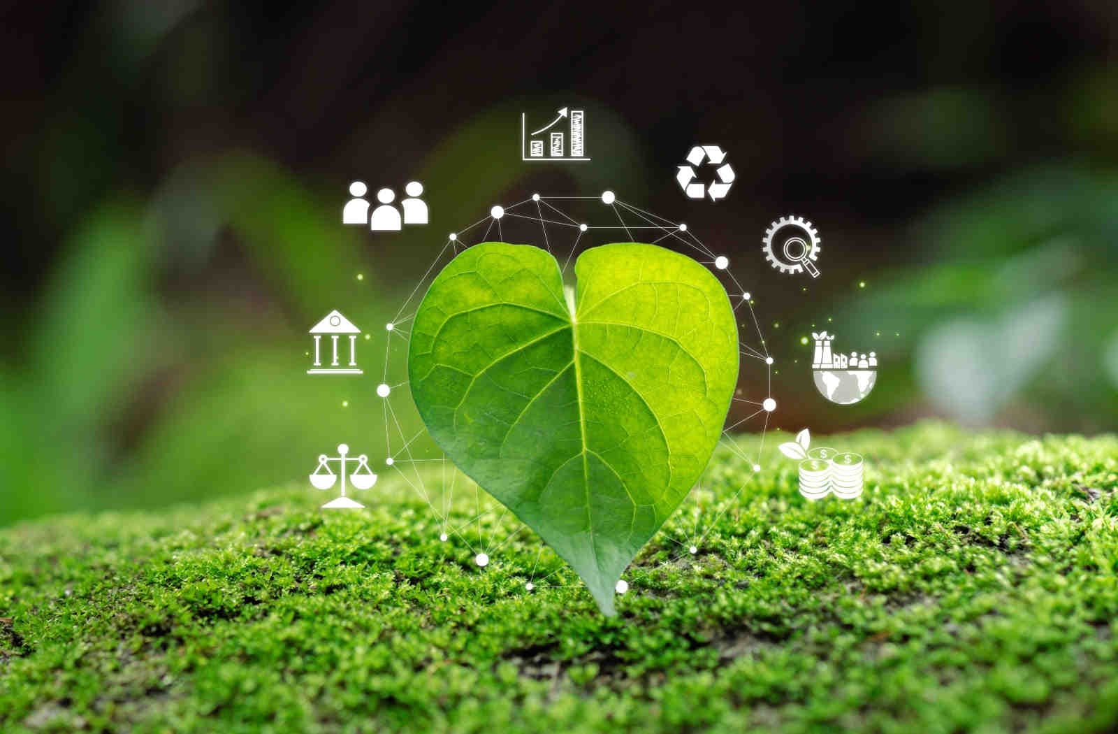Come avviare un’analisi di materialità ESG in azienda