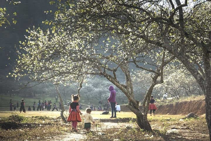 Kindern die Bedeutung der Bienen zu erklären