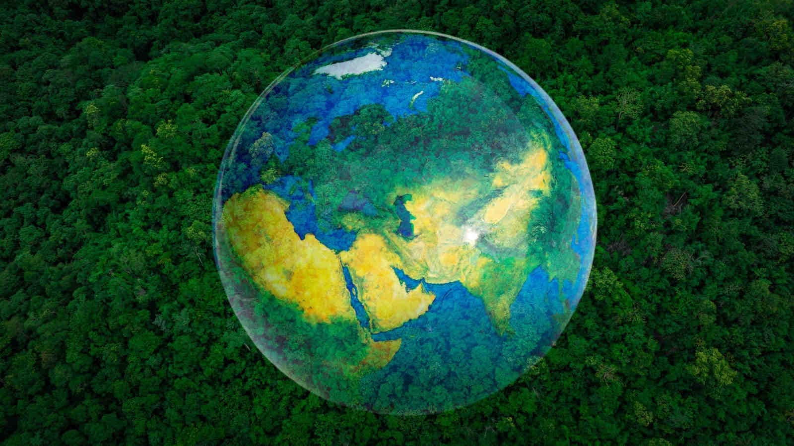 Servizi ecosistemici: cosa sono e perché sono importanti