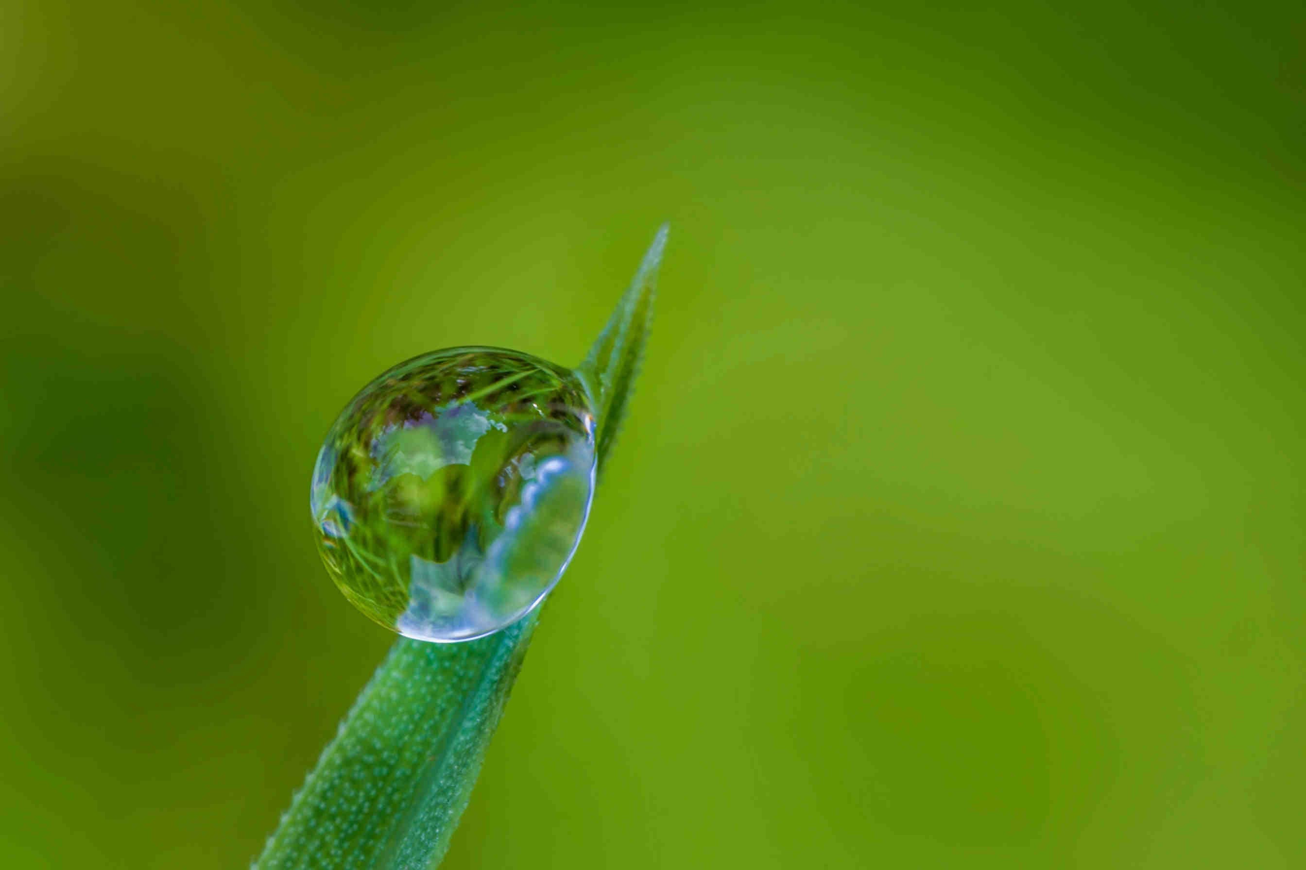 natura