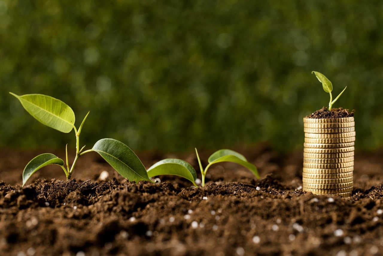 I criteri ESG sono diversi dagli investimenti SRI