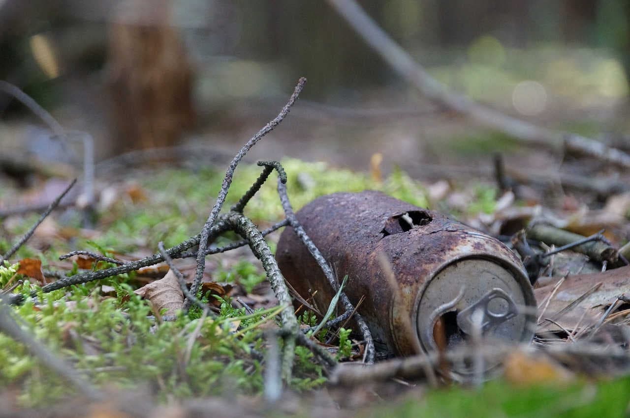 Canette rouillée dans les bois