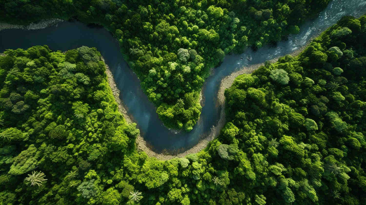 Che cos’è la biodiversità e il suo ruolo nell’ecosistema