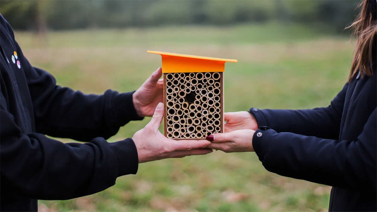 3bee-blog-la-casetta-per-impollinatori-polly-house