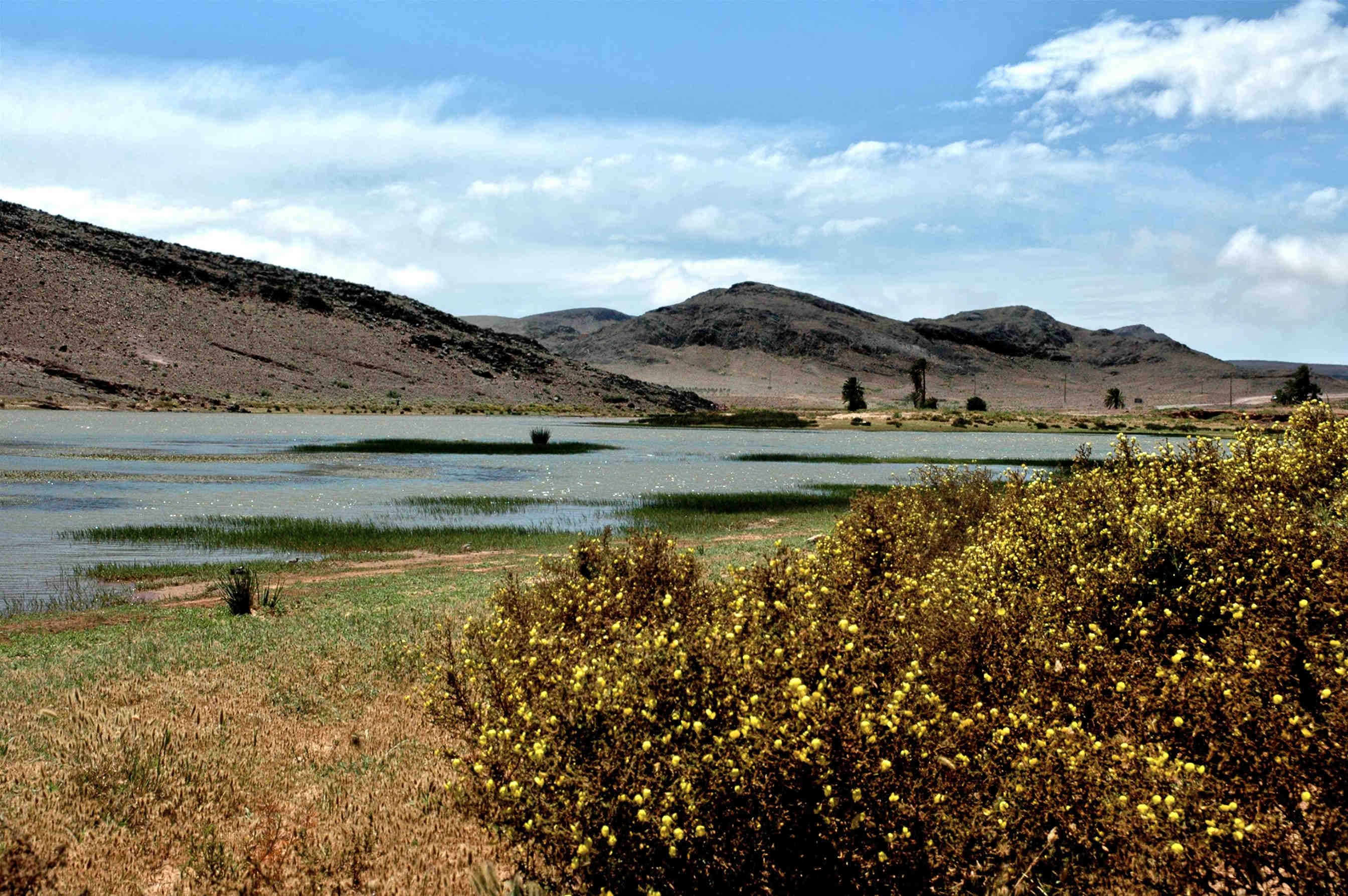 biodiversità paesaggio