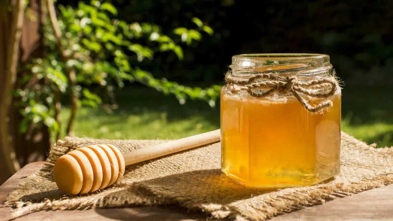 Woran erkennt man guten, hochwertigen Honig?