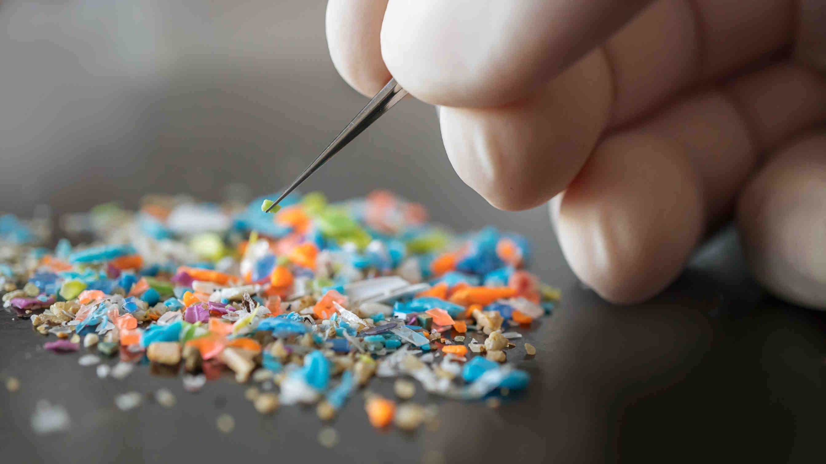 Gli effetti (silenziosi) delle microplastiche sulla biodiversità