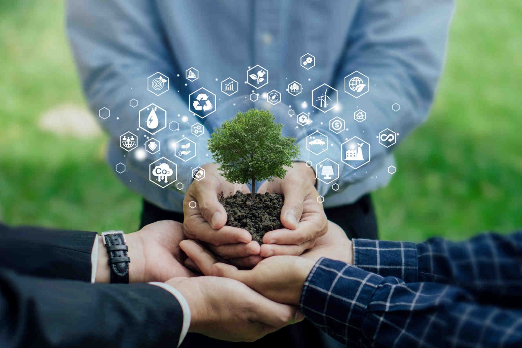 Contenuti ecologici a confronto