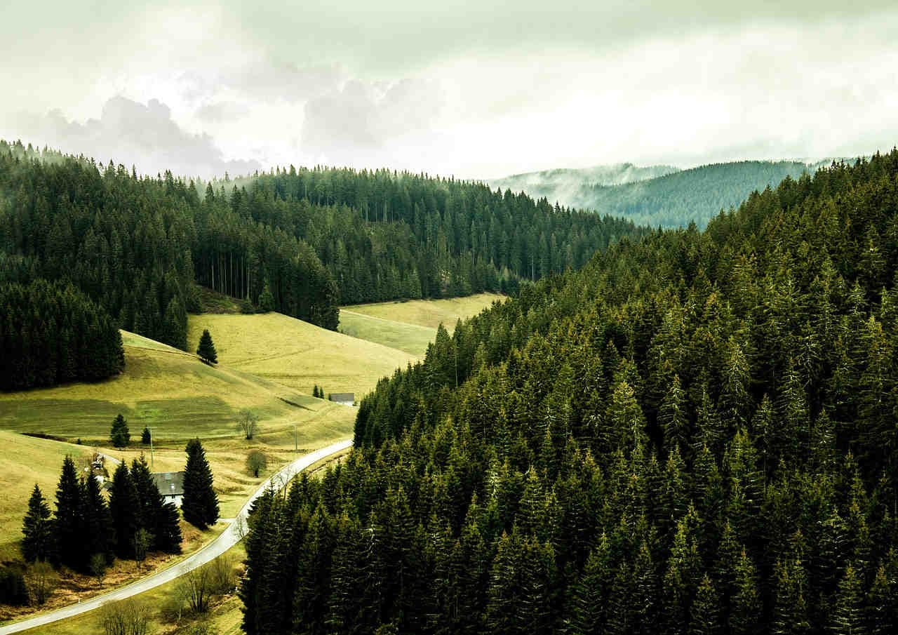 Il 3 novembre è la Giornata internazionale delle Riserve della Biosfera