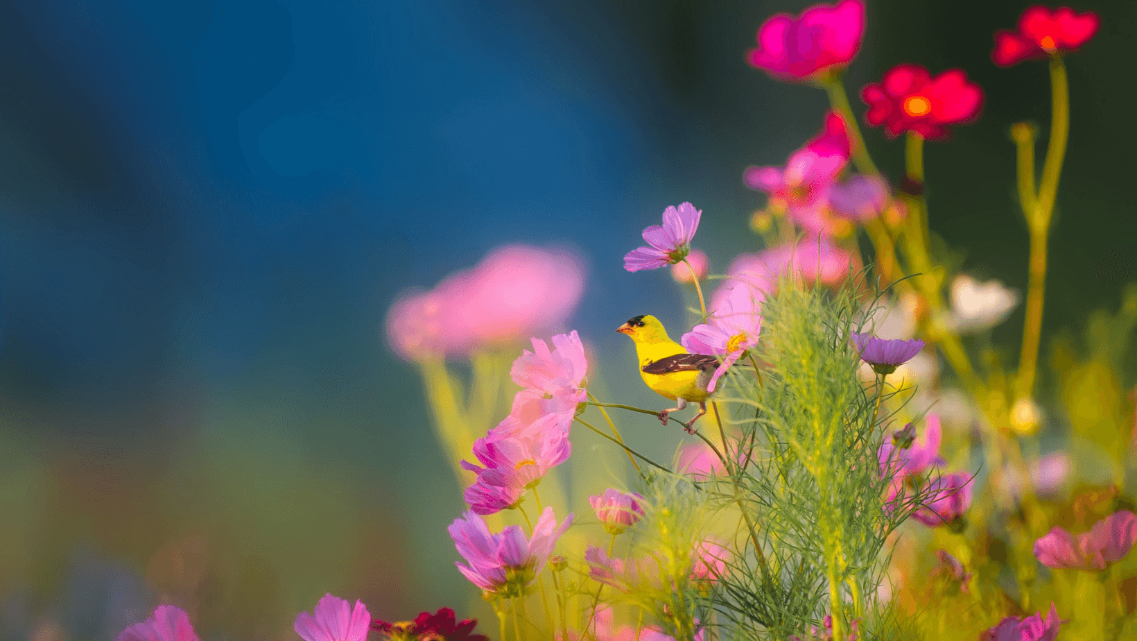 World Environment Day 2020