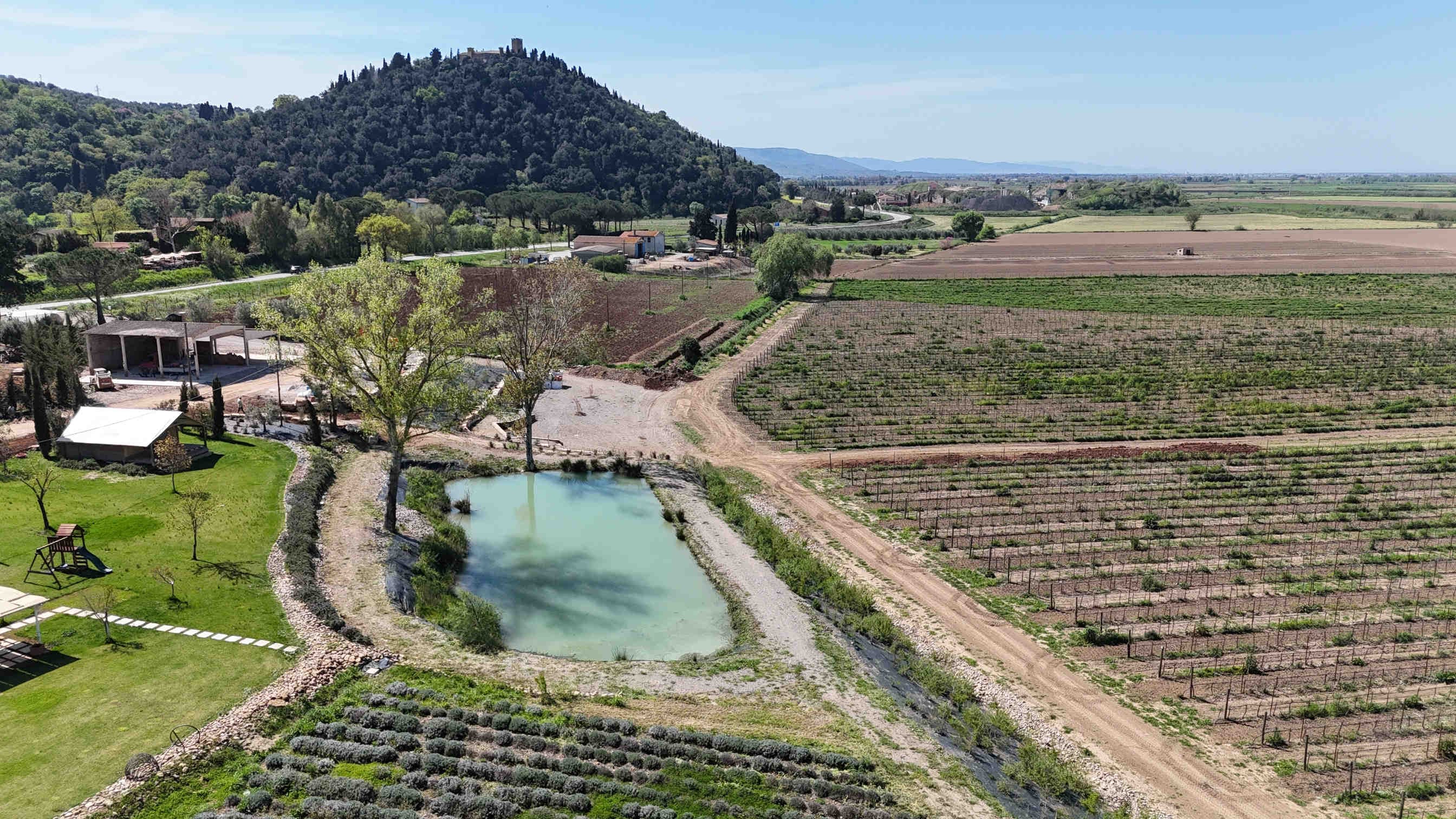 3bee-blog-oasi-3Bee-più-di-un-semplice-spazio