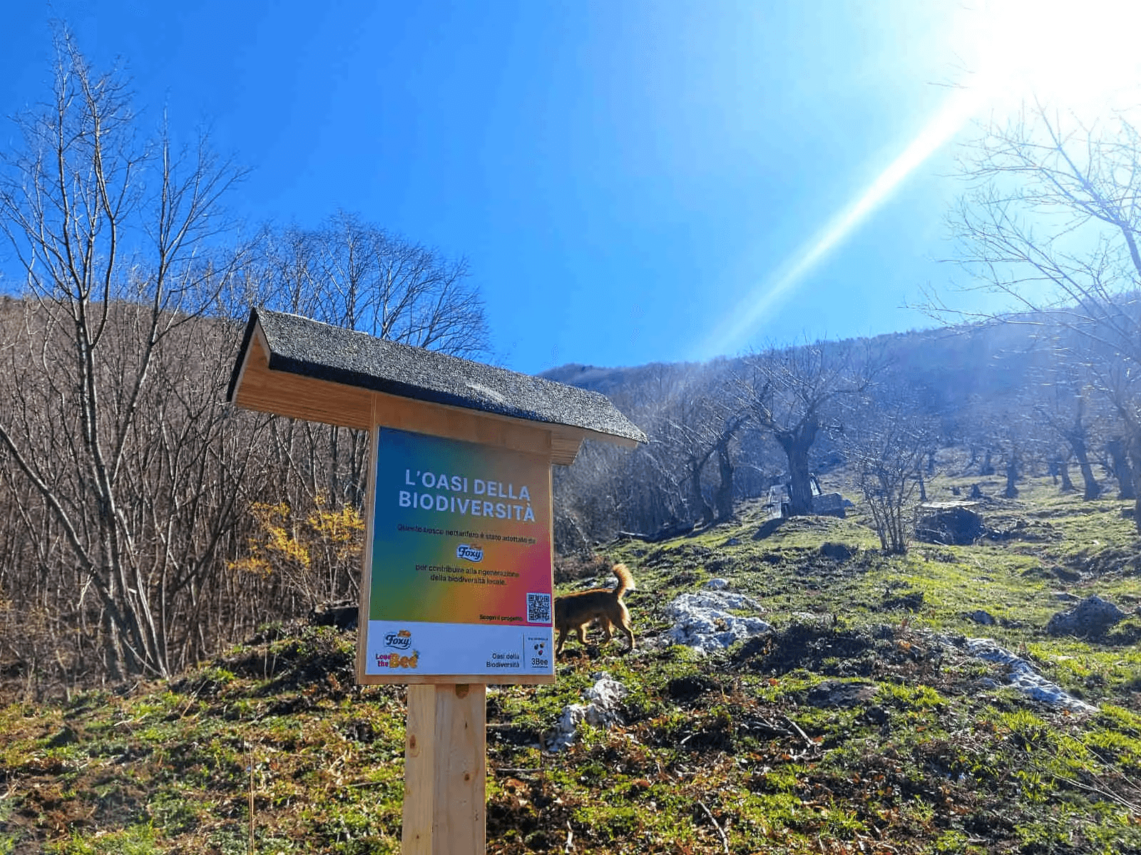 Oasi della biodiversità 3bee