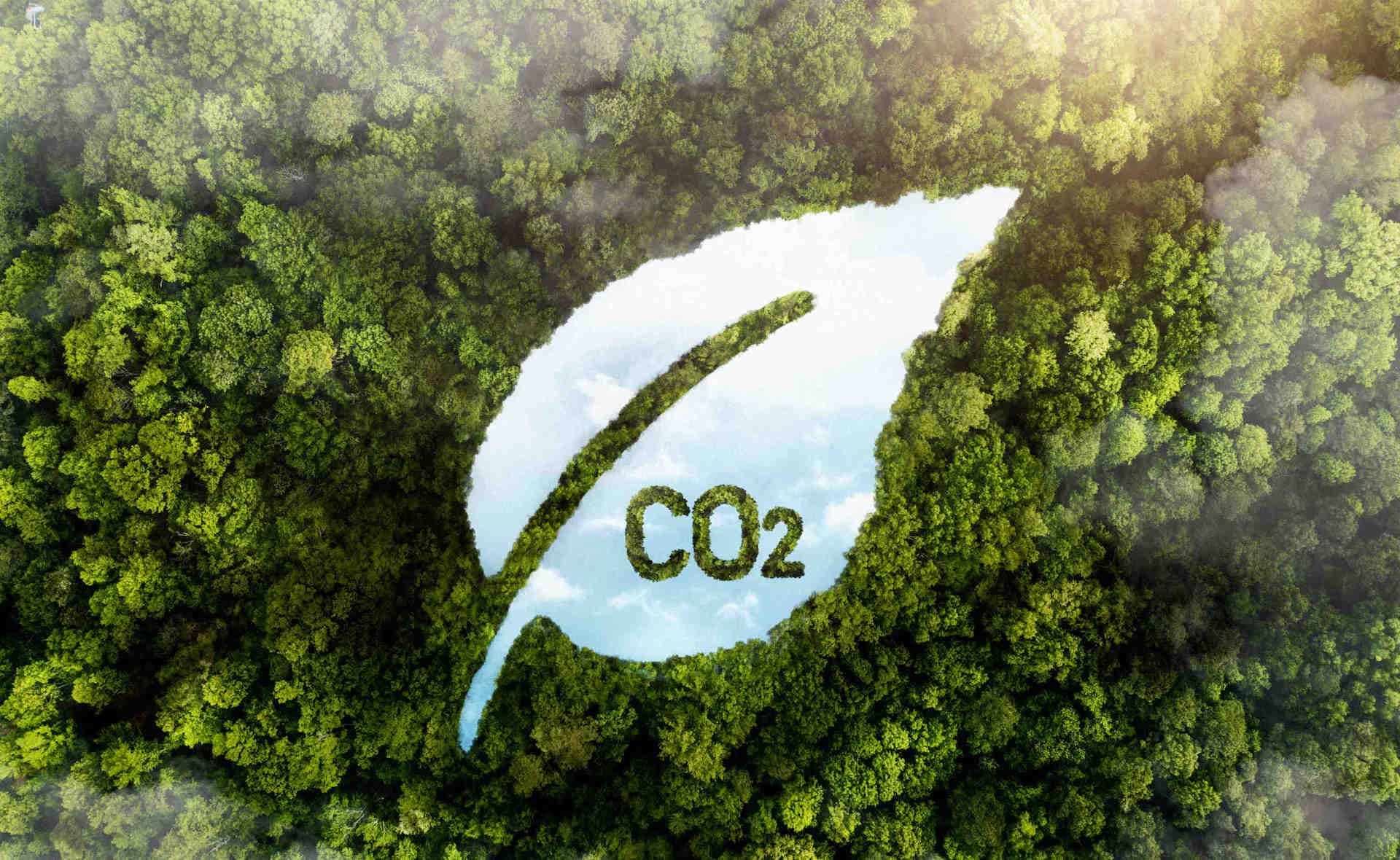 Compensation des émissions de CO2 : le marché du crédit