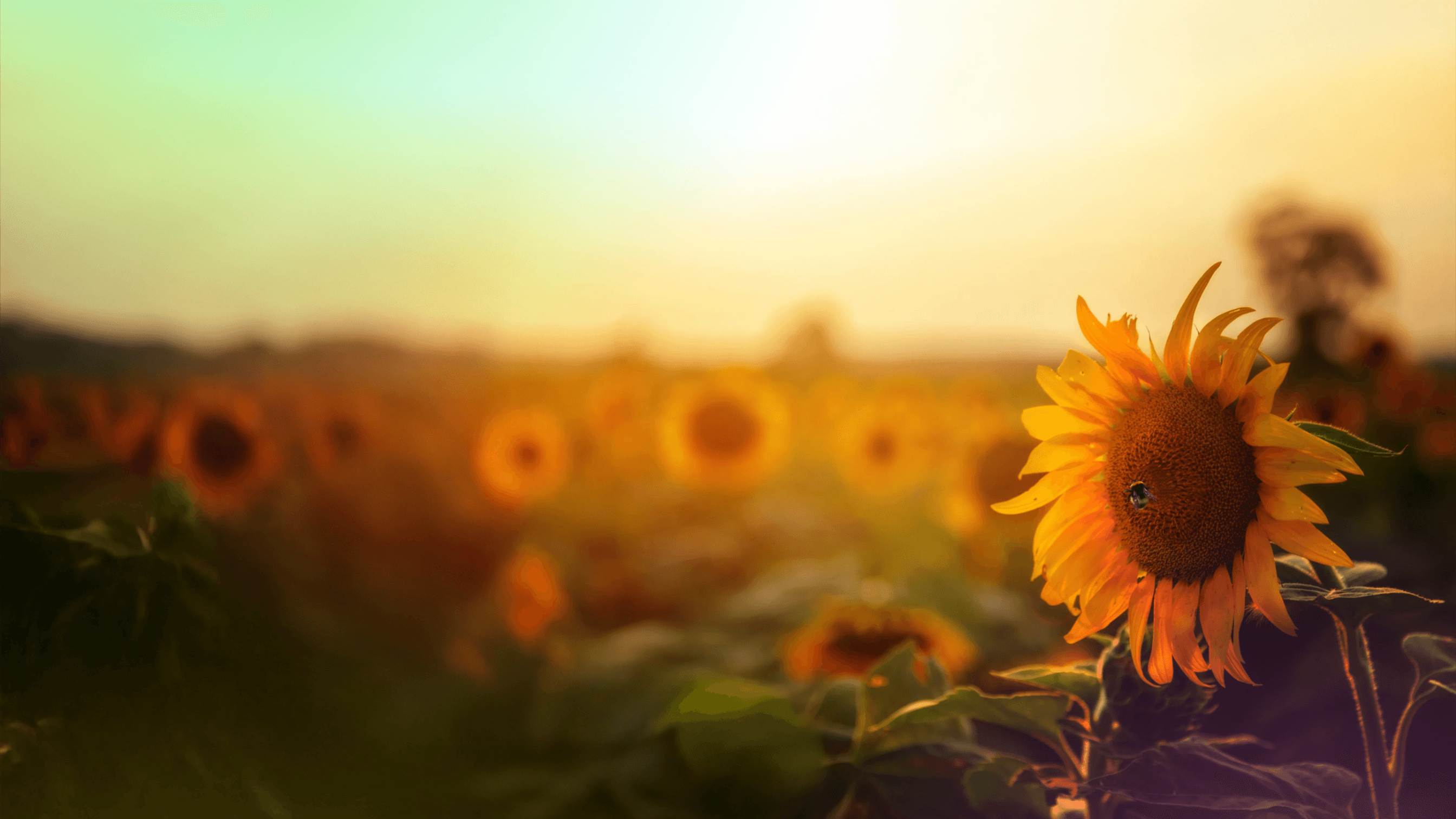 Join our upcoming webinar: Impact and dependencies in the agri/food supply chain