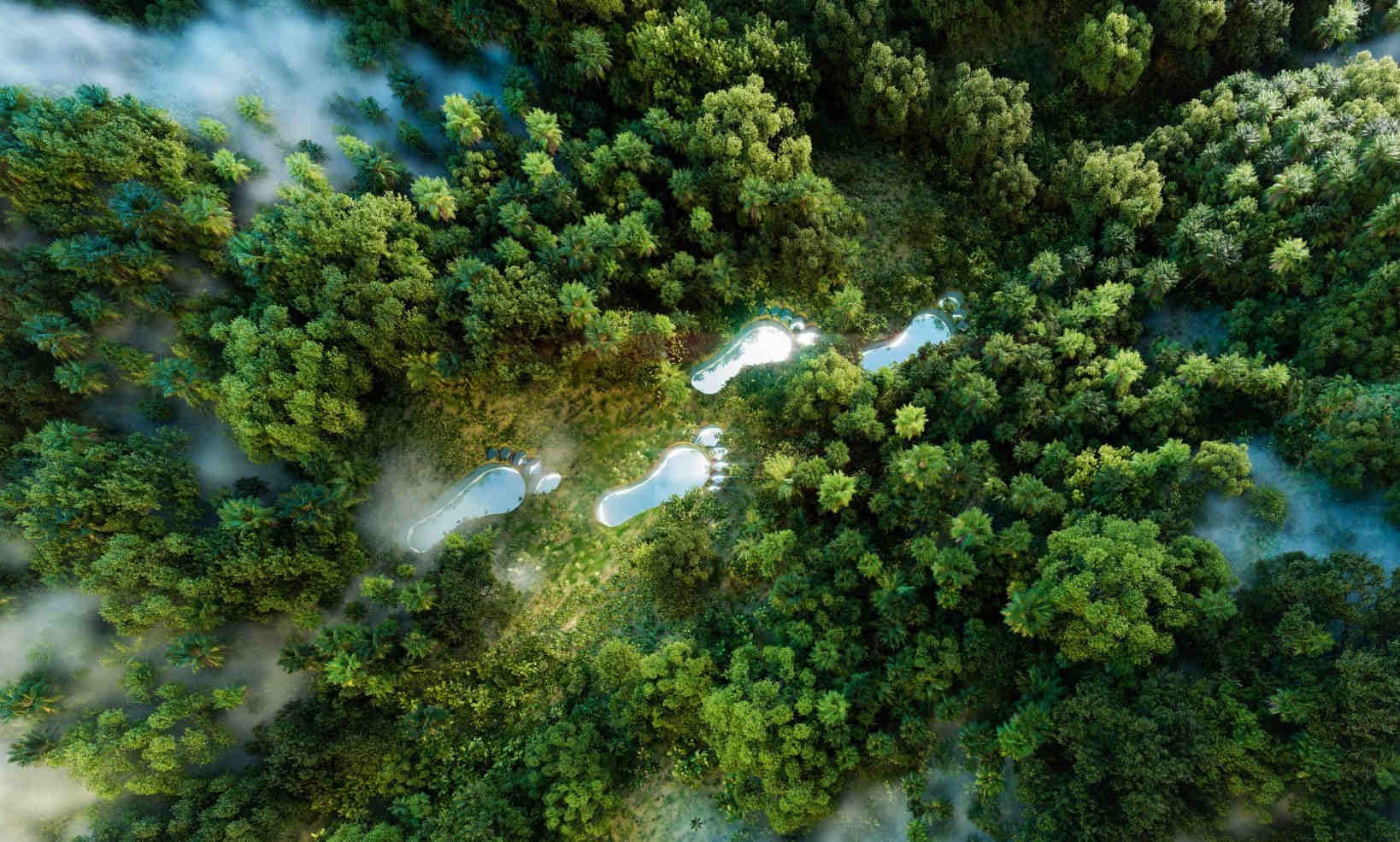 Cos’è l’impronta ambientale e perché è fondamentale