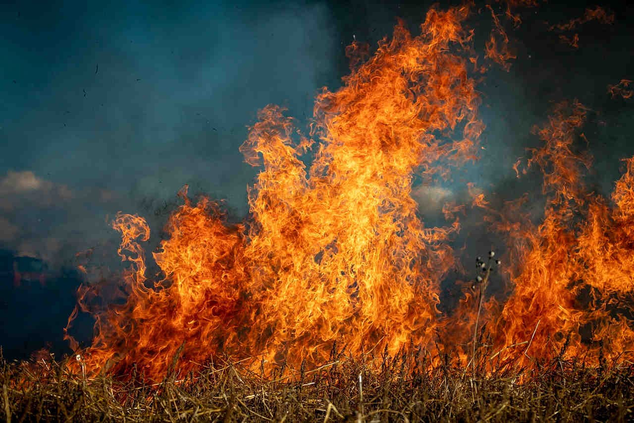 Incendi Brasile