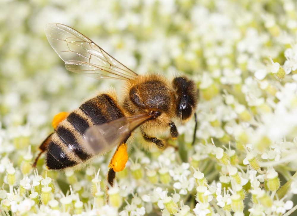 Siamo più consapevoli di quanto crediamo