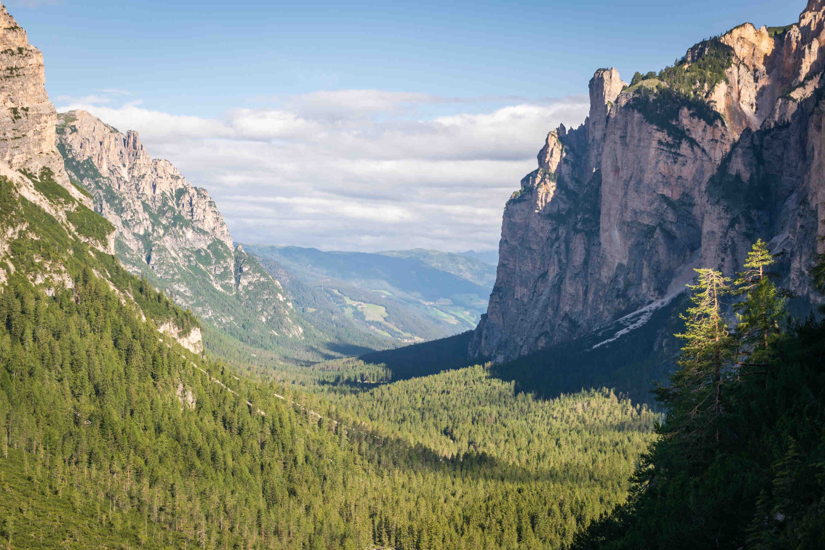 Alla scoperta della biodiversità