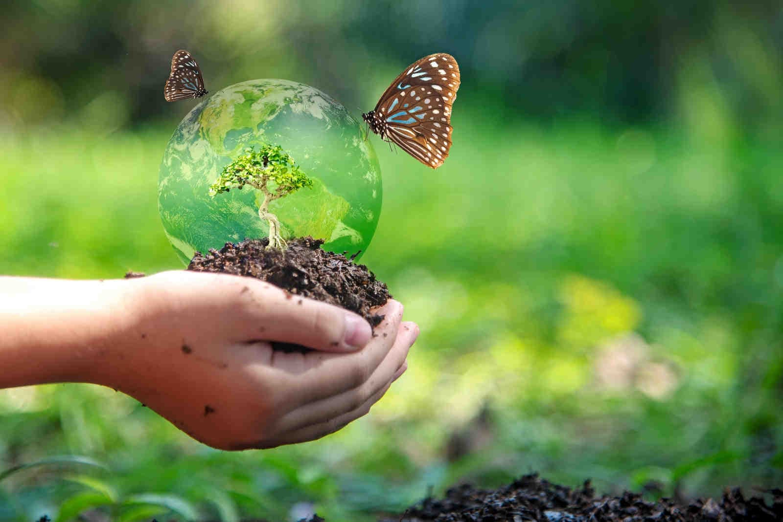 Tutela del suolo per preservare la biodiversità