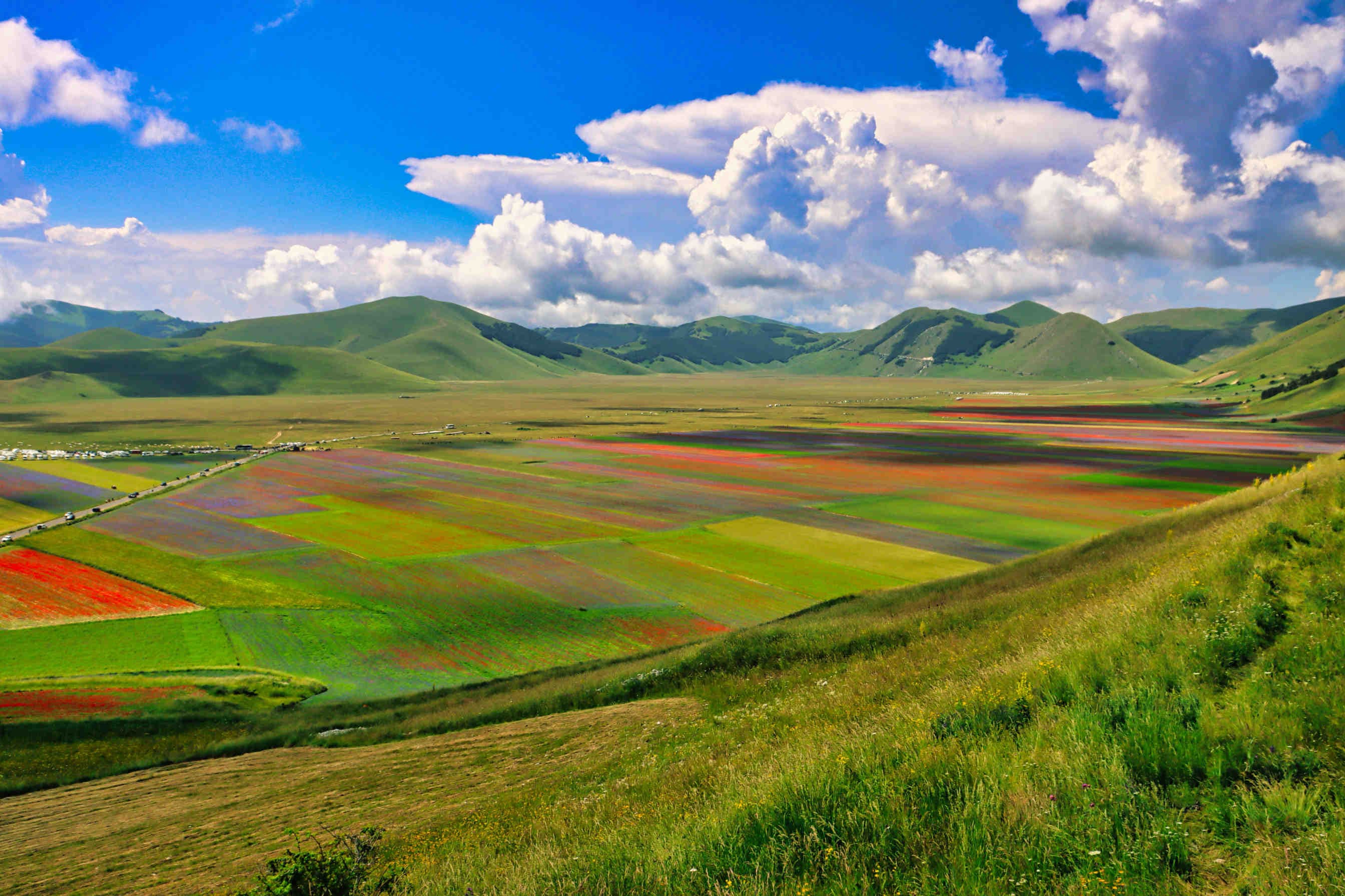 La Fioritura di Castelluccio di Norcia
