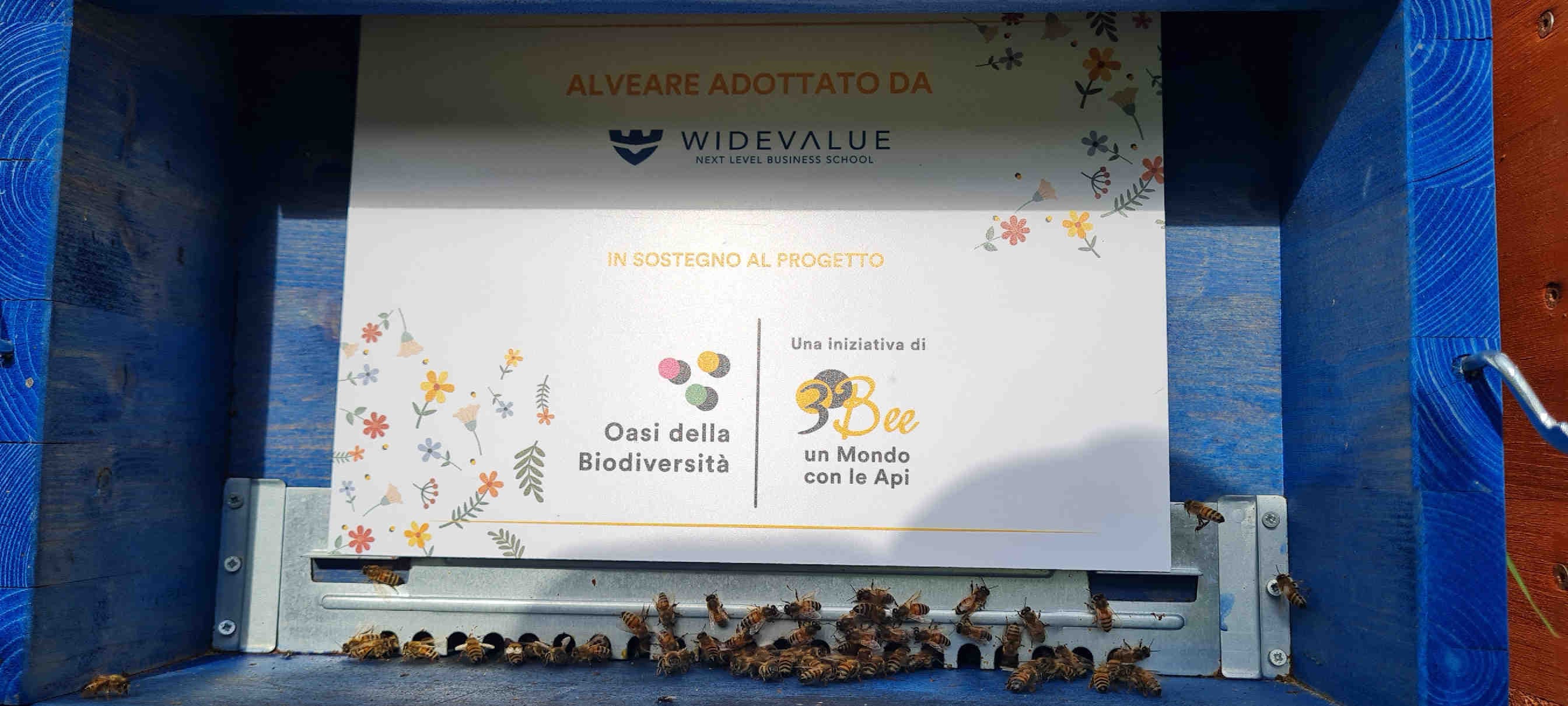 arnia widevalue