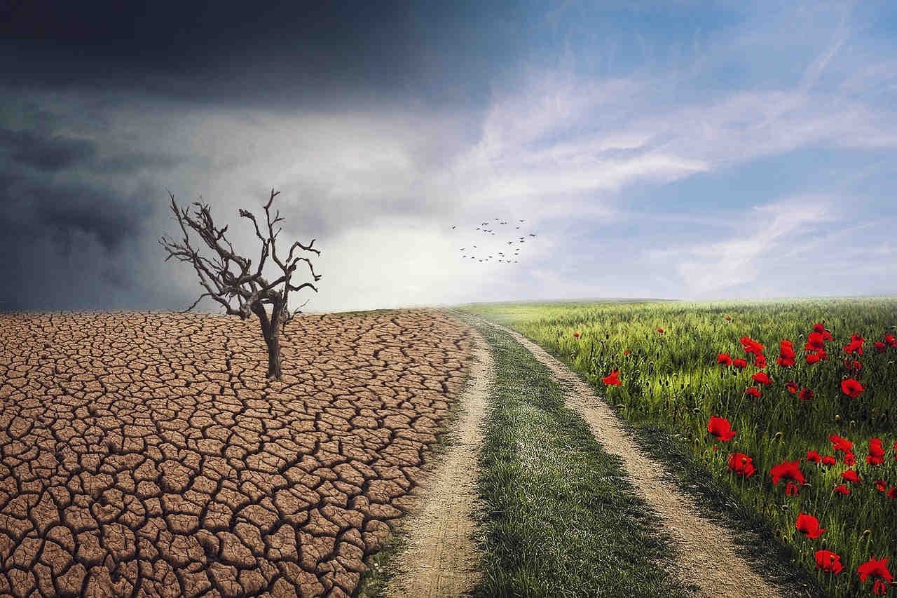 Climate Whiplash: le città del mondo tra siccità e inondazioni estreme