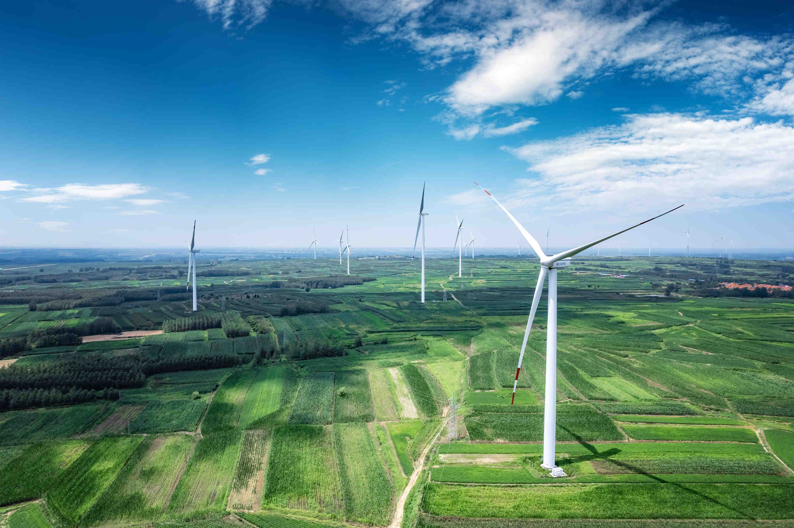 energy companies