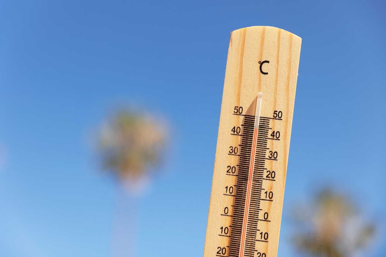 Il prezzo del riscaldamento globale