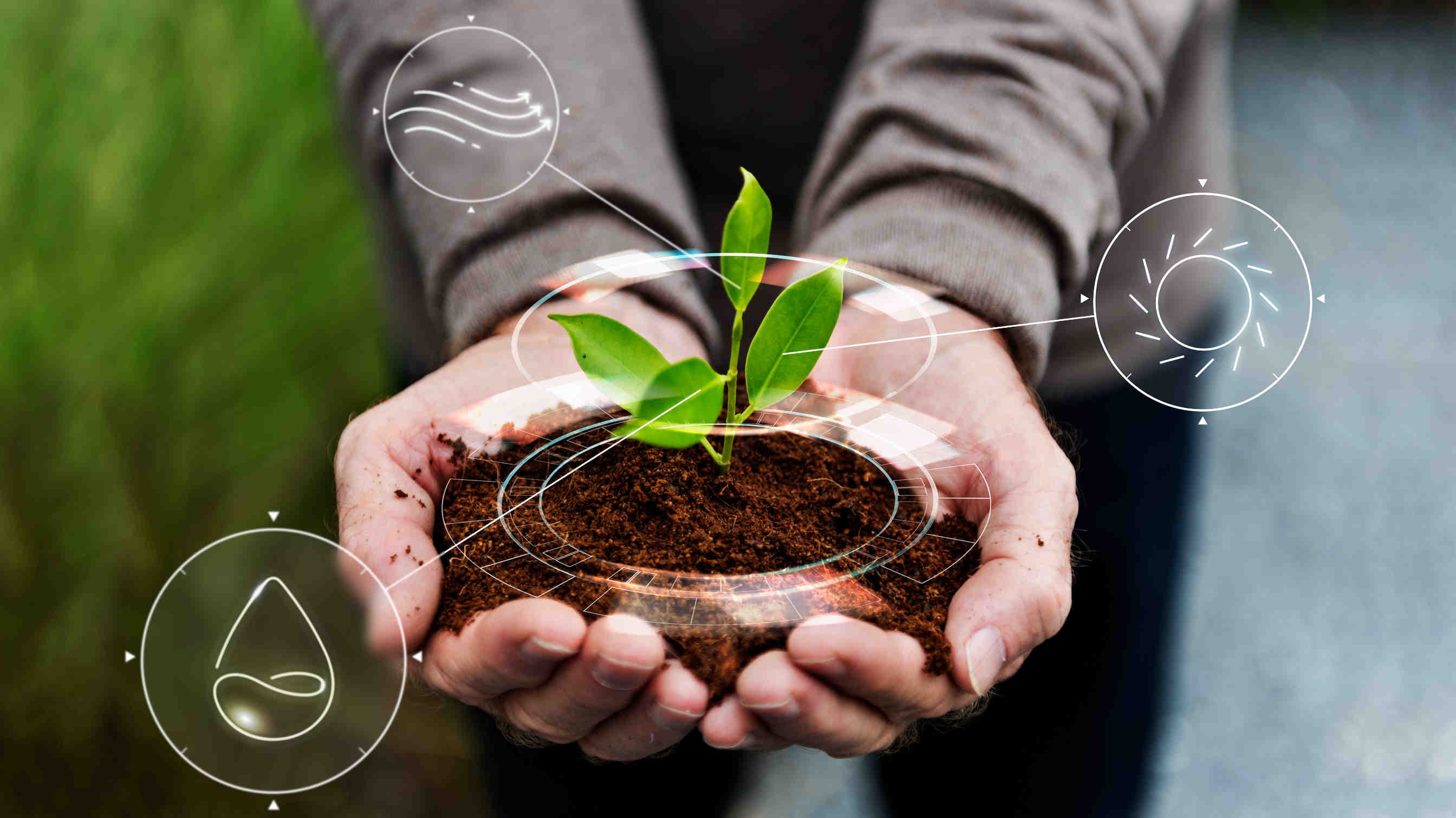 carbon farming