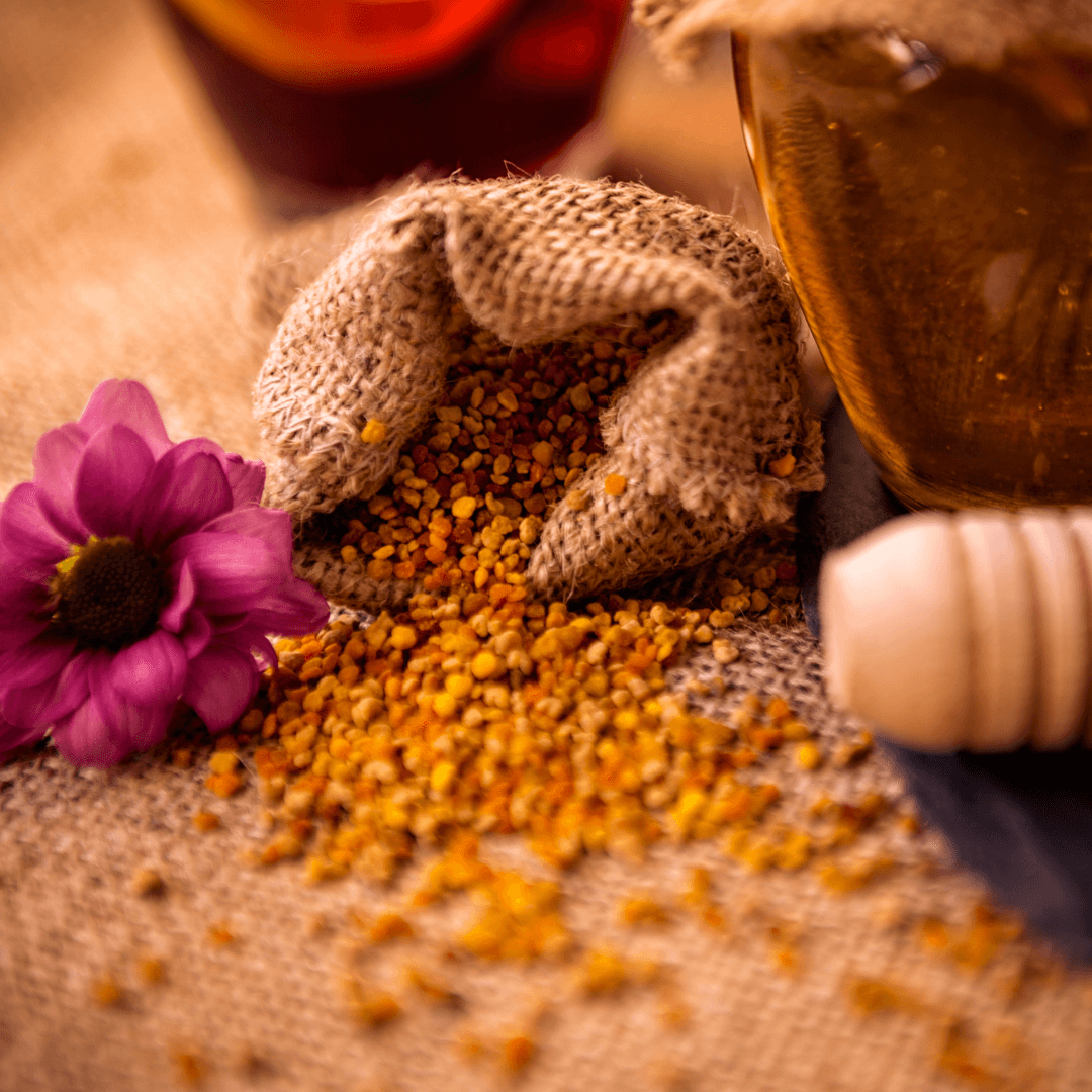 Wie Propolis geerntet wird