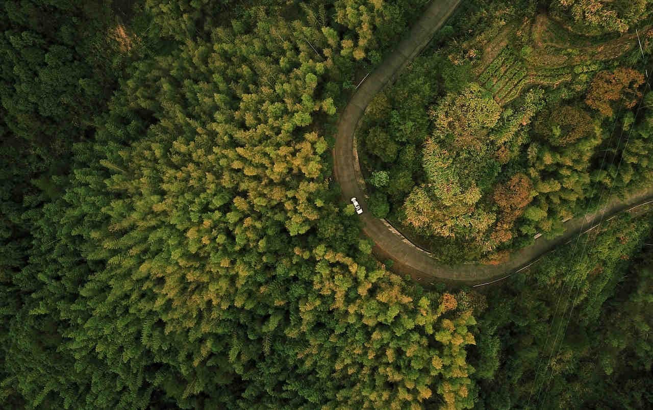 Decifrare l'acronimo ESG: implicazioni nel mondo degli investimenti
