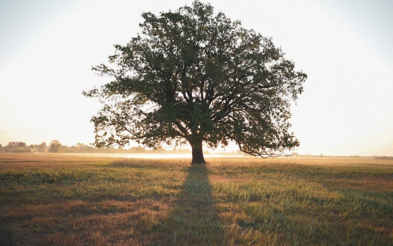 Differenze tra investimenti ESG e sostenibili