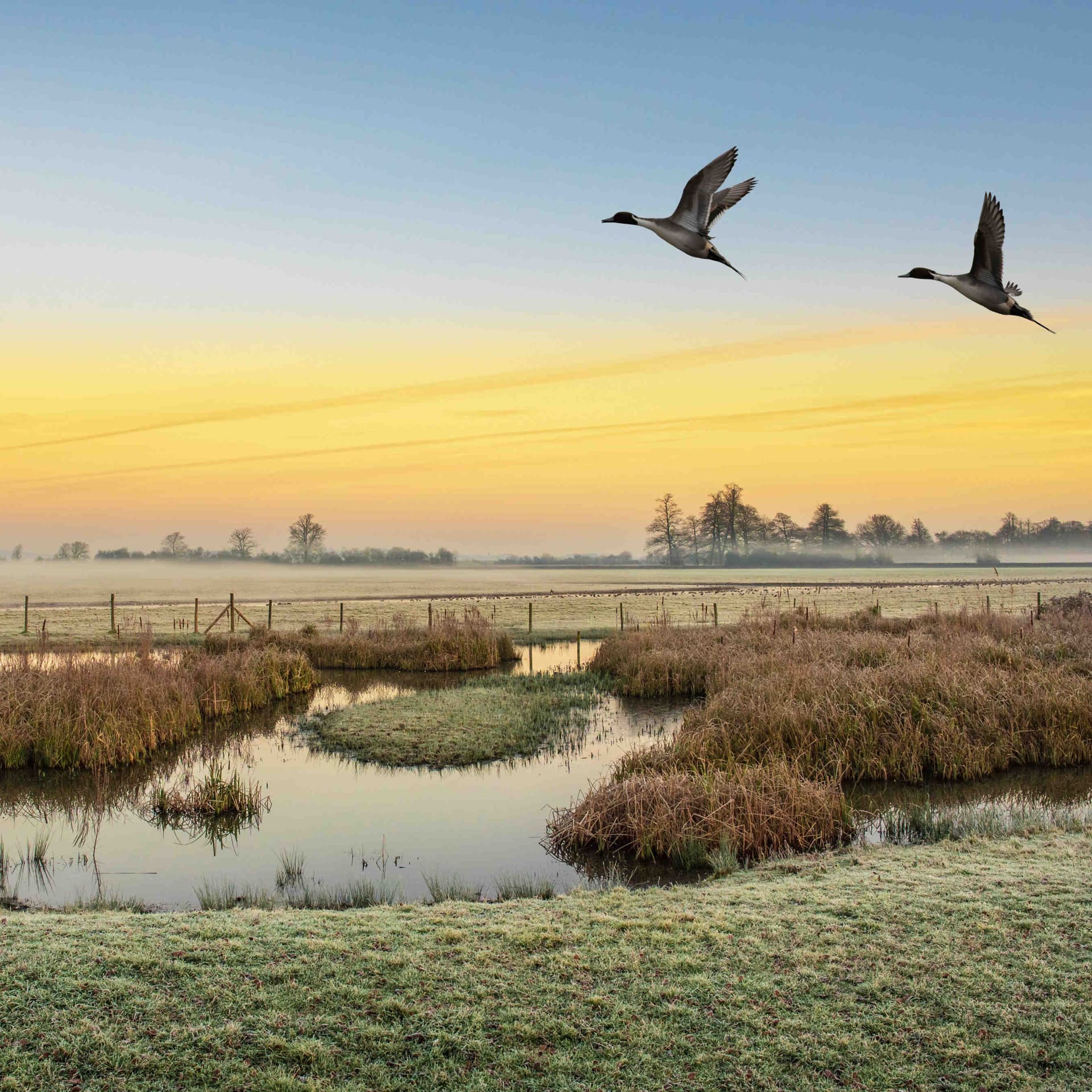 foto blog molisetour.it blog molisetour.it