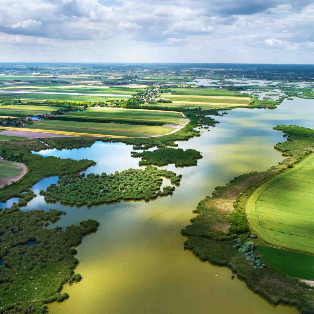 Pourquoi la biodiversité est cruciale pour notre planète
