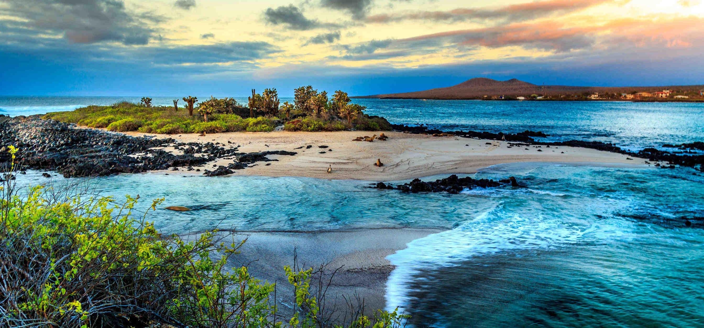 Galapagos: nuova speranza contro le specie aliene invasive