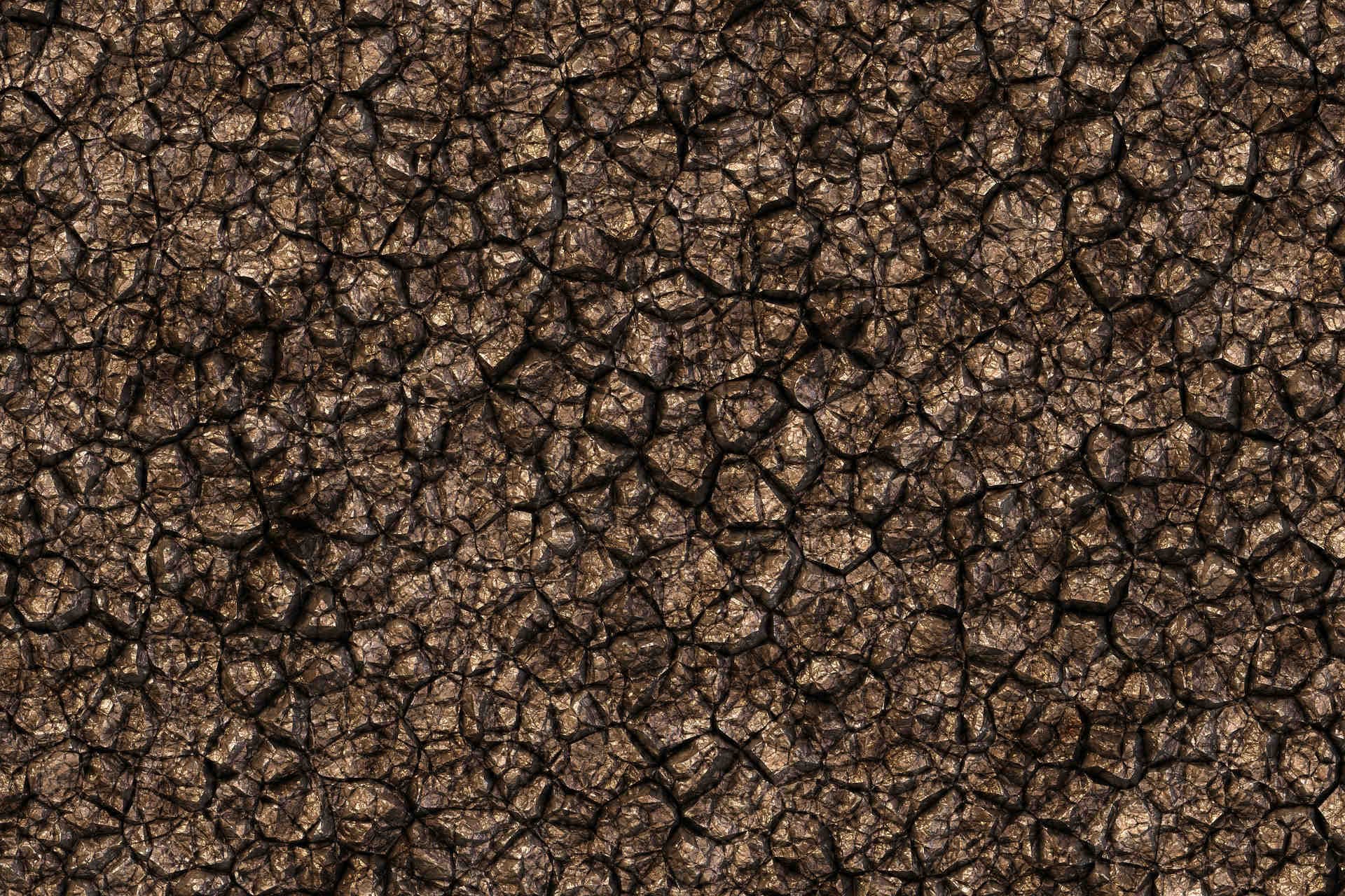 Per crescere più veloci e contrastare l’erosione del suolo