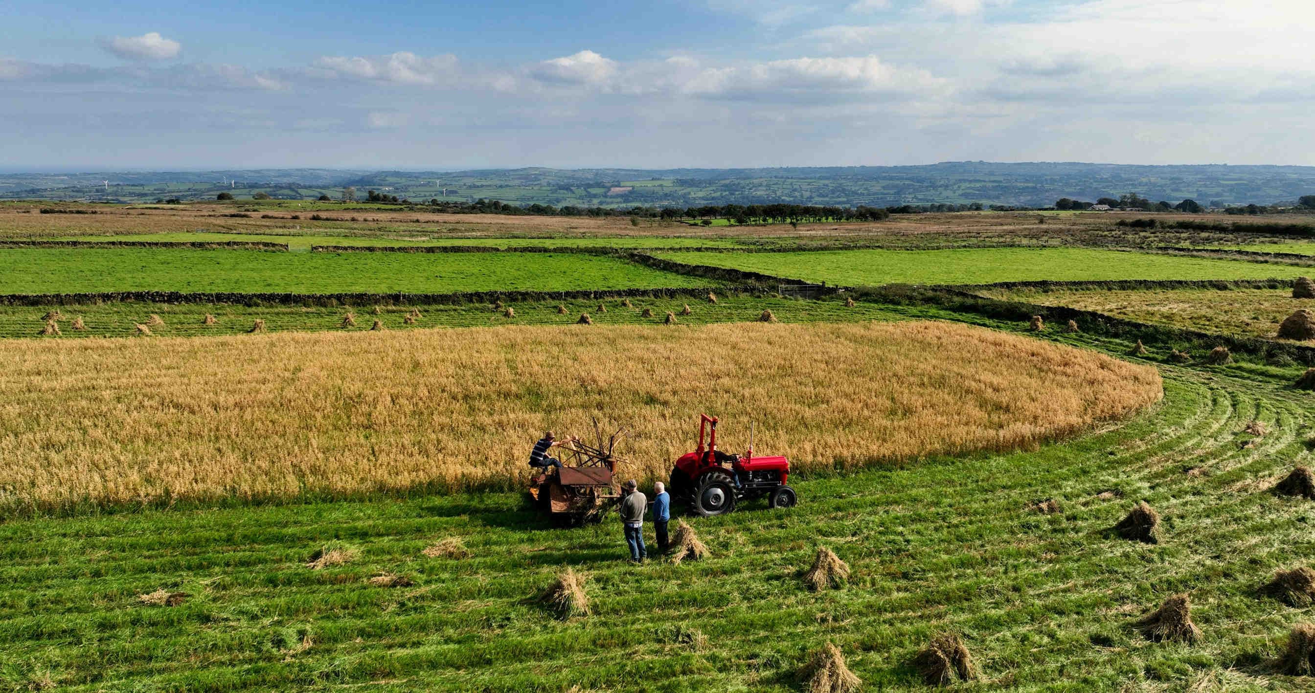 agroecosistema