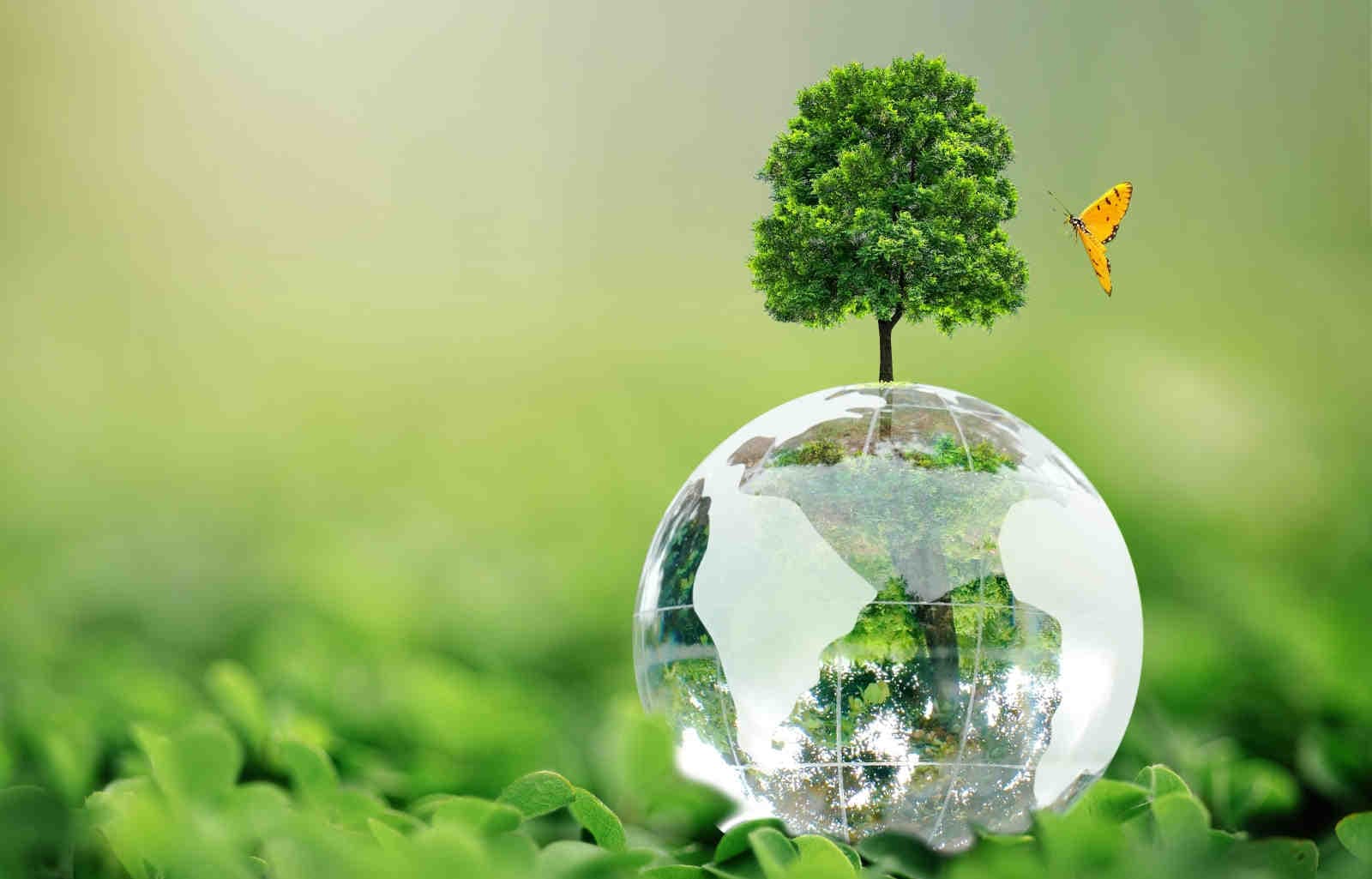 Sustainomy: il nuovo modello economico per un futuro sostenibile