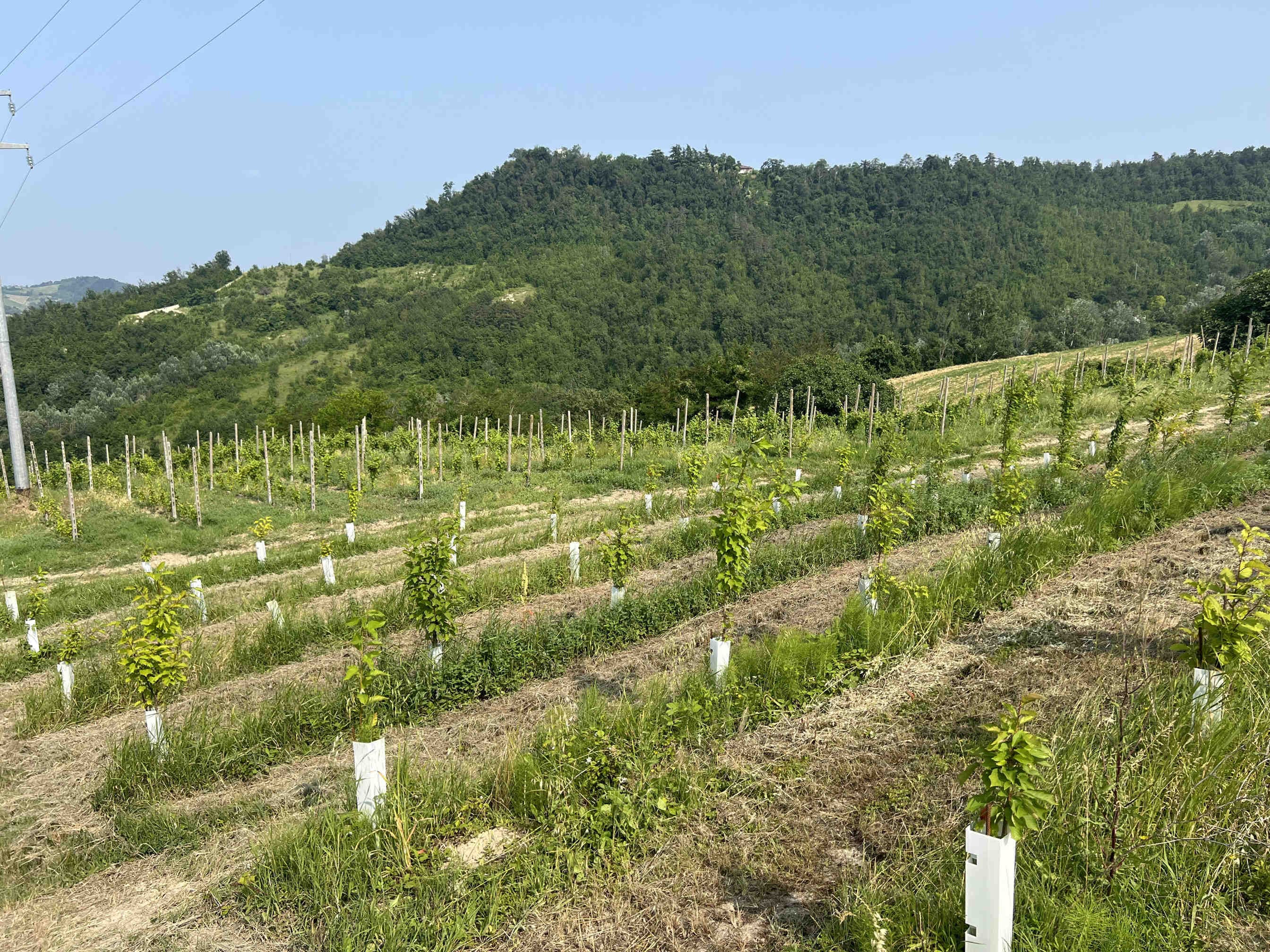 3bee-blog-le-oasi-della-biodiversita
