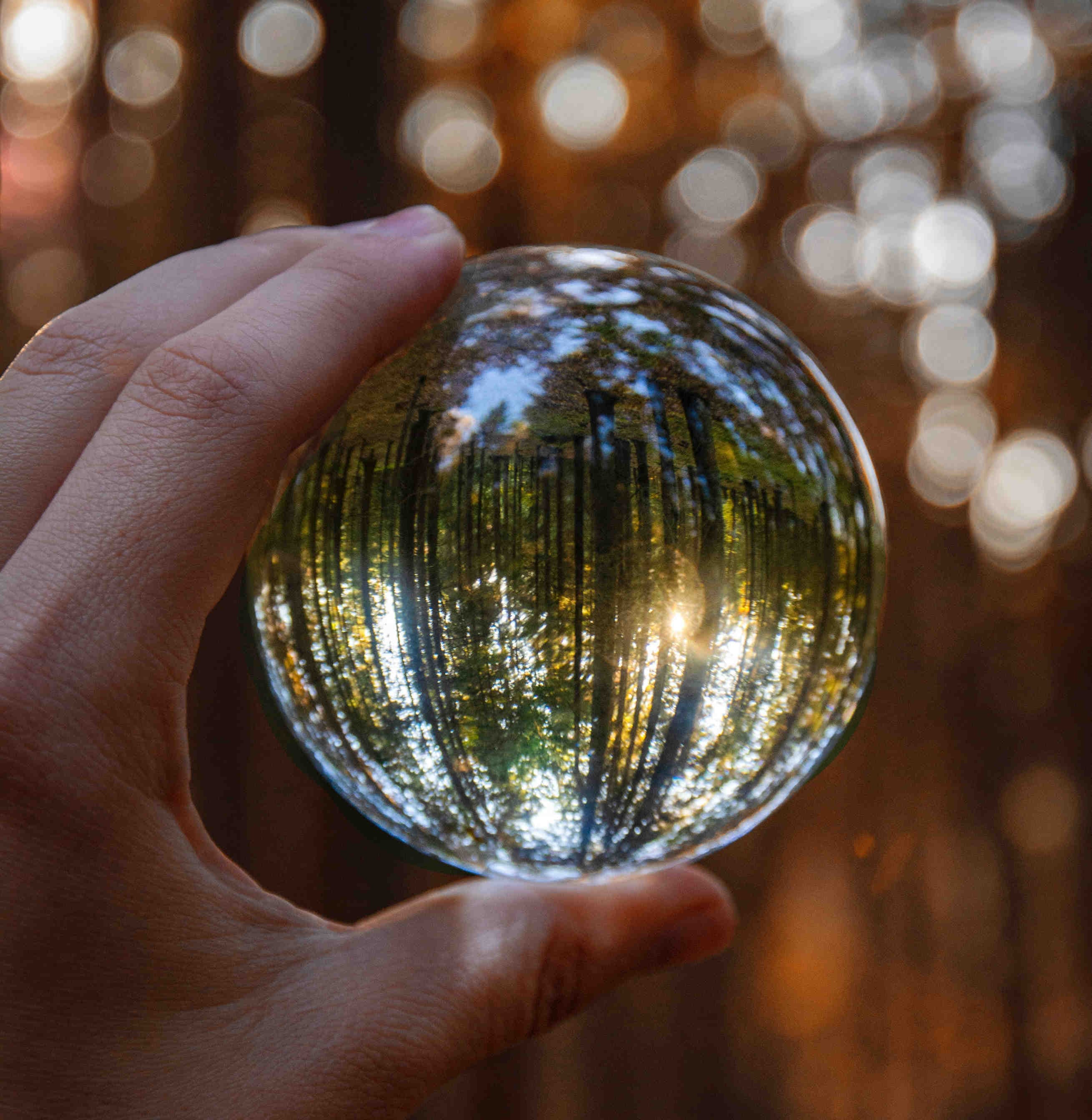 Rating ESG: come migliorare il valore dell’azienda