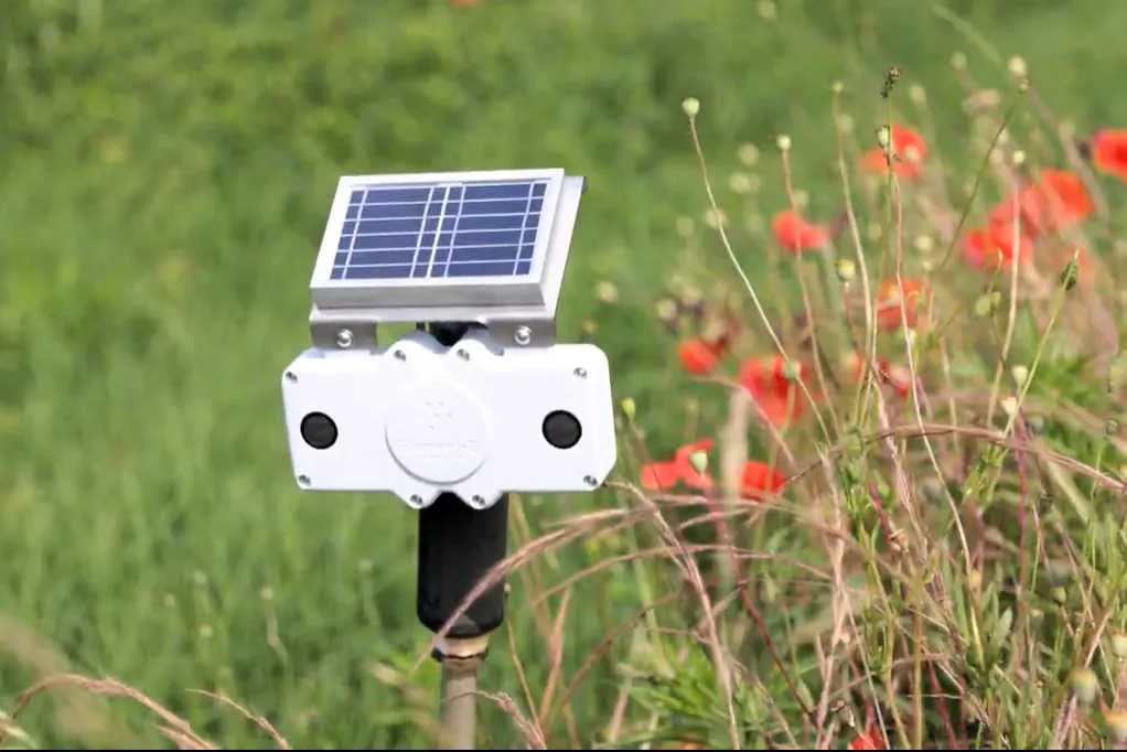 Comment 3Bee participe à la protection de la biodiversité