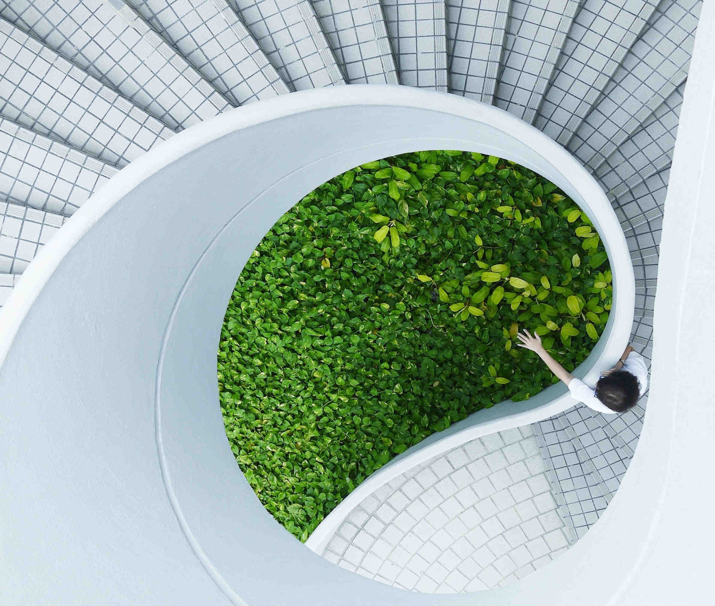 ESG e transizione sostenibile: la normativa del cambiamento